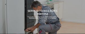 Servicio Técnico Aspes Tortosa 977208381