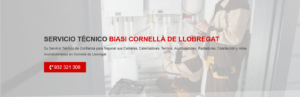 Servicio Técnico Biasi Cornellá de Llobregat 934242687