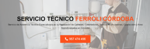 Servicio Técnico Ferroli Córdoba 957487014