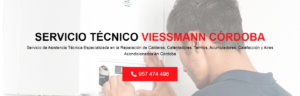 Servicio Técnico Viessmann Córdoba 957487014