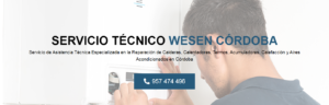 Servicio Técnico Wesen Córdoba 957487014