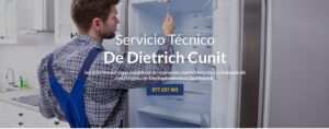 Servicio Técnico De Dietrich Cunit 977208381