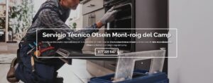 Servicio Técnico Otsein Mont-roig del camp 977208381