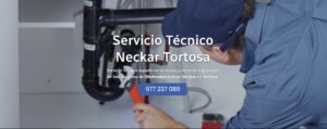 Servicio Técnico Neckar Tortosa 977208381
