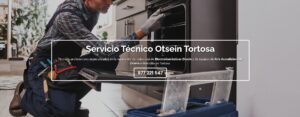 Servicio Técnico Otsein Tortosa 977208381
