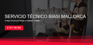 Servicio Técnico Biasi Mallorca 971727793