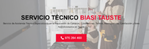 Servicio Técnico Biasi Tauste 976553844