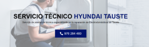 Servicio Técnico Hyundai Tauste 976553844