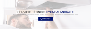 Servicio Técnico Hyundai Andratx 971727793