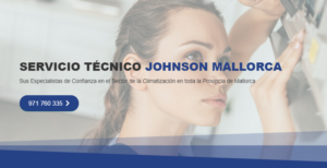 Servicio Técnico Johnson Mallorca 971727793
