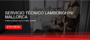 Servicio Técnico Lamborghini Mallorca 971727793