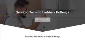 Servicio Técnico Liebherr Pollenca 971727793