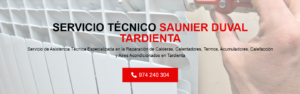 Servicio Técnico Saunier Duval Tardienta 974226974