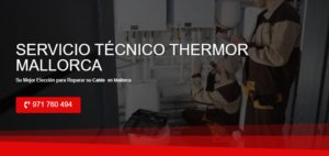 Servicio Técnico Thermor Mallorca 971727793