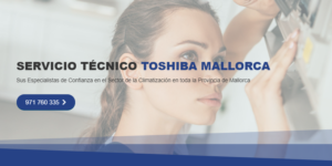 Servicio Técnico Toshiba Mallorca 971727793