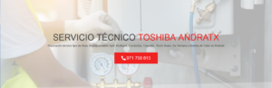Servicio Técnico Toshiba Andratx 971727793