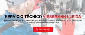 Servicio Técnico Viessmann Lleida 973194055