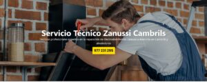 Servicio Técnico Zanussi Cambrils 977208381