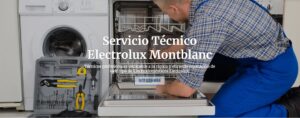 Servicio Técnico Electrolux Montblanc 977208381