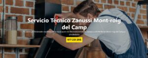 Servicio Técnico Zanussi Mont-roig del camp 977208381