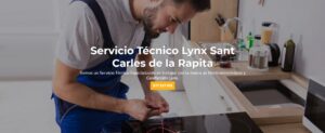 Servicio Técnico Lynx Sant Carles de la Rapita 977208381