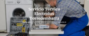 Servicio Técnico Electrolux Torredembarra 977208381