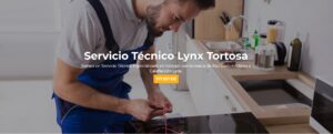 Servicio Técnico Lynx Tortosa 977208381