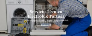 Servicio Técnico Electrolux Tortosa 977208381