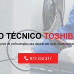 Servicio Técnico Toshiba Lleida 973194055 - Lérida