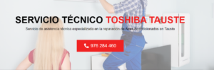Servicio Técnico Toshiba Tauste 976553844
