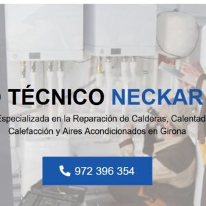 Electrodos.Es: Servicio Técnico Neckar Girona 972396313