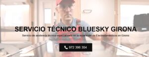 Servicio Técnico Bluesky Girona 972396313