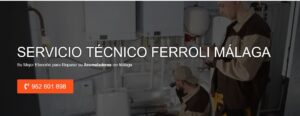 Servicio Técnico Ferroli Malaga 952210452