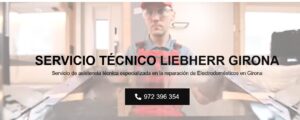 Servicio Técnico Liebherr Girona 972396313