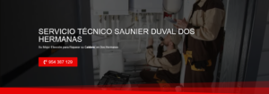 Servicio Técnico Saunier Duval Dos Hermanas 954341171