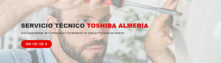 N1 (#ID:107734-107733-medium_large)  Servicio Técnico Toshiba Almeria 950206887 de la categoria Reparacion Electrodomesticos y que se encuentra en Almería, Unspecified, , con identificador unico - Resumen de imagenes, fotos, fotografias, fotogramas y medios visuales correspondientes al anuncio clasificado como #ID:107734
