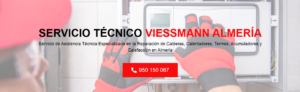 Servicio Técnico Viessmann Almeria 950206887