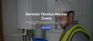 Servicio Técnico Neckar Zuera 976553844