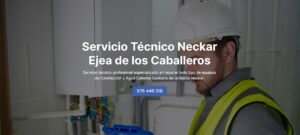 Servicio Técnico Neckar Caballeros 976553844