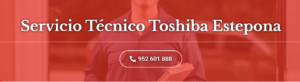 Servicio Técnico Toshiba Estepona 952210452