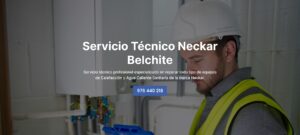 Servicio Técnico Neckar Belchite 976553844