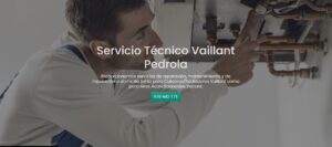 Servicio Técnico Vaillant Pedrola 976553844