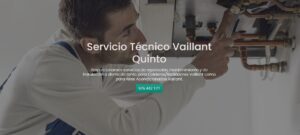 Servicio Técnico Vaillant Quinto 976553844