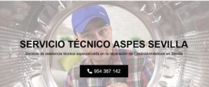 Servicio Técnico Aspes Sevilla 954341171