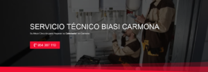 Servicio Técnico Biasi Carmona 954341171