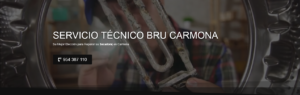 Servicio Técnico Bru Carmona 954341171