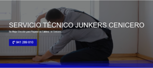 Servicio Técnico Junkers Cenicero 941229863