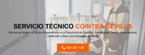 Servicio Técnico Cointra Sevilla 954341171