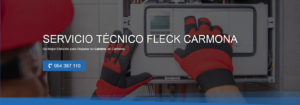 Servicio Técnico Fleck Carmona 954341171
