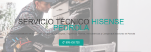Servicio Técnico Hisense Pedrola 976553844